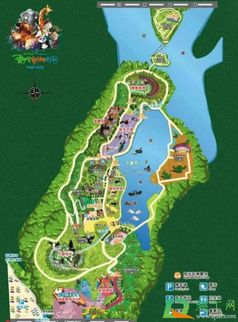 武汉野生动物王国开业了吗(武汉市动物王国开放没) 武汉野生动物王国开业了吗(武汉市动物王国开放没)