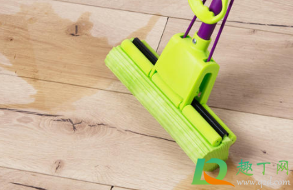 胶棉拖把头什么时候需要替换(胶棉拖把头通用吗)