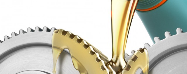 起什么作用(墙固起什么作用)