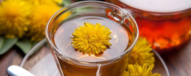 喝蒲公英茶有哪些注意事项(蒲公英茶哪些人不宜喝)