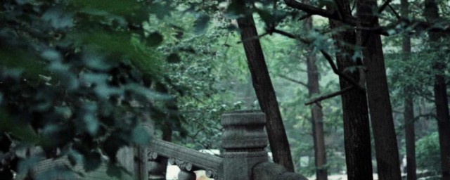 品茗听雪意思解析(煮雪品茗是什么意思)