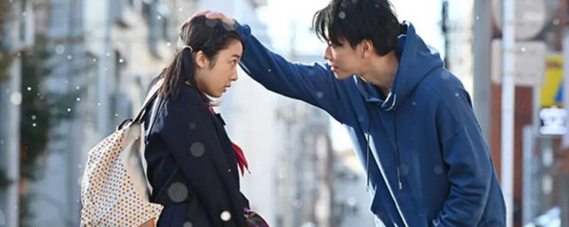 将恋爱进行到底剧情简介(《将恋爱进行到底》)