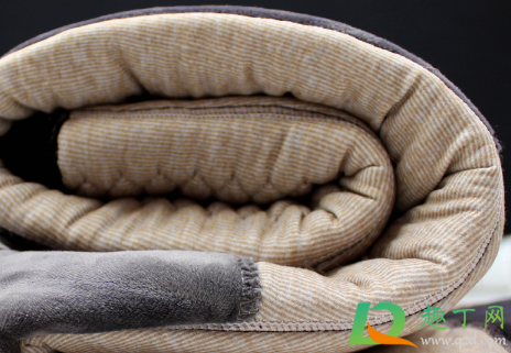 驼绒裤和羽绒裤哪个暖(驼绒裤和羊绒裤哪个暖和)