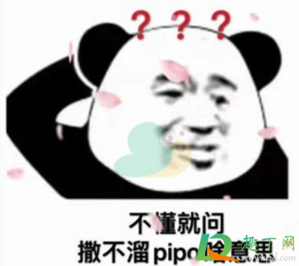 撒不溜pipo什么梗(撒不溜pipo啥意思什么梗)