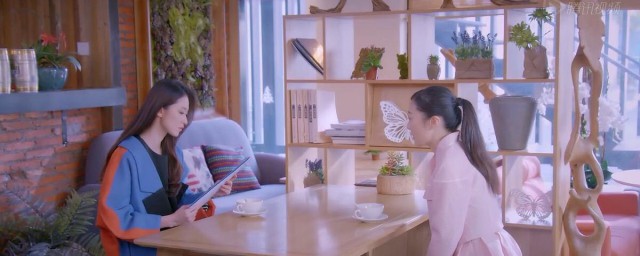 该剧是什么小说改编的(哪部剧不是根据小说改编的)