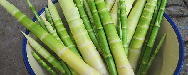 竹笋名字解析(竹笋的学名)