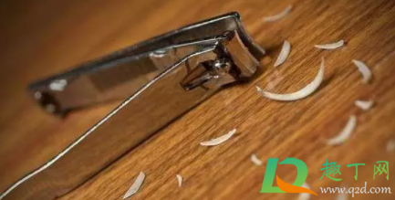 指甲刀不快了怎么磨(指甲刀不快怎么办) 指甲刀不快了怎么磨(指甲刀不快怎么办)