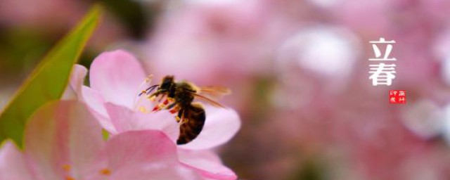 2020年正月十一17点打春(2020年十二月二十二几点立春)