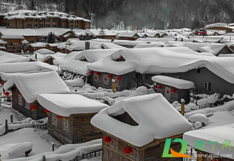 2021元旦还能去哈尔滨吗(2021年2月能回哈尔滨吗)