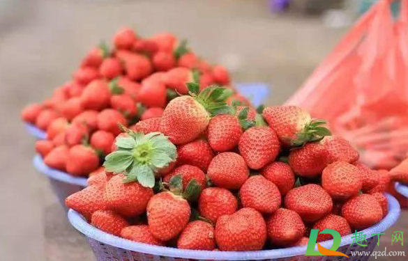 草莓吃多了尿会变红吗(吃草莓屎会变红吗)