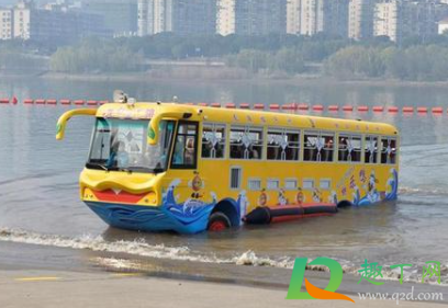 长沙橘子洲水陆两栖车在哪坐(长沙橘子洲水陆两用车)