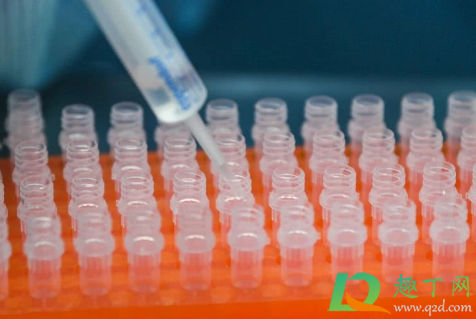 2021元旦出京需要核酸检测吗(2021出京是否需要核酸检测结果) 2021元旦出京需要核酸检测吗(2021出京是否需要核酸检测结果)