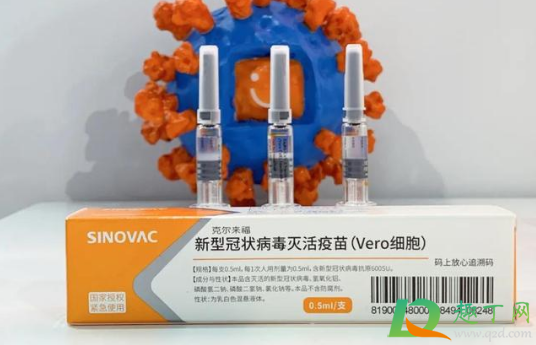 打新冠疫苗发烧好还是不好(打新冠疫苗疫苗发烧说明体质好还是差)