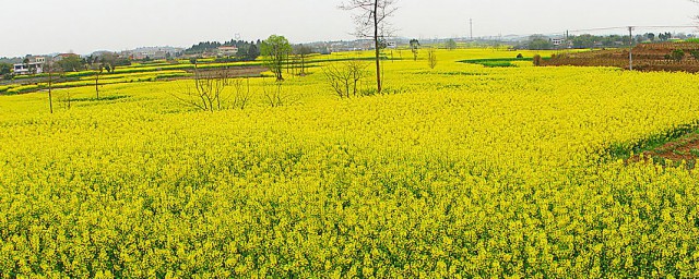 来福洗澡是22集