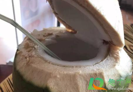 椰青怎样煲汤(椰青可以用来煲汤吗)