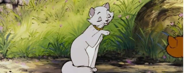 看看历险记里的有趣和收获(神奇的探险之旅的收获)