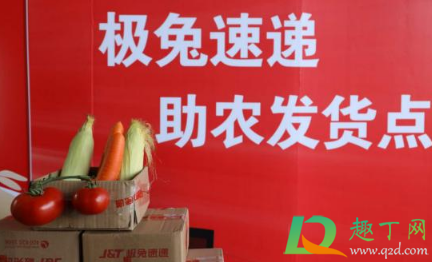 极兔速递是拼多多专用的吗(极兔快递是不是拼多多专有的)