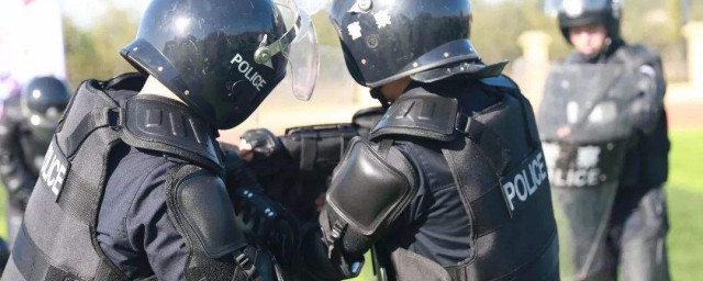 关于此角色的信息简介(角色的名称)