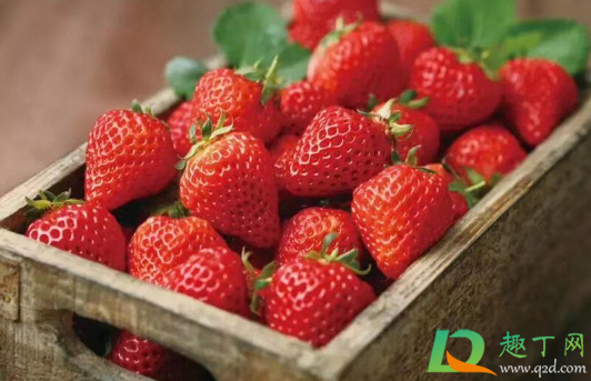 草莓有香味是不是坏了(草莓坏了有酒味)