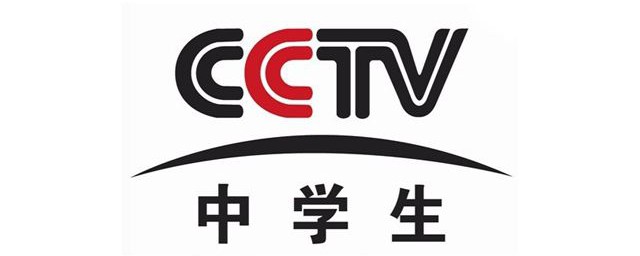 CCTV其他频道分别是什么(cctv综合频道是哪个台)