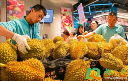 榴莲有酒味是不是坏了含酒精(榴莲有点酒味是不是坏了) 榴莲有酒味是不是坏了含酒精(榴莲有点酒味是不是坏了)
