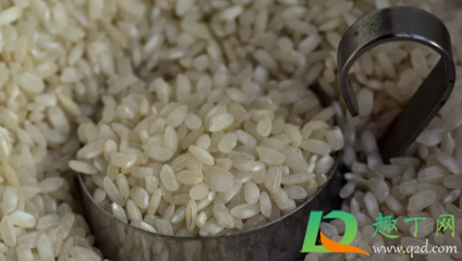 尘虱会爬到人身上吗(尘虱会在人身上繁殖吗) 尘虱会爬到人身上吗(尘虱会在人身上繁殖吗)