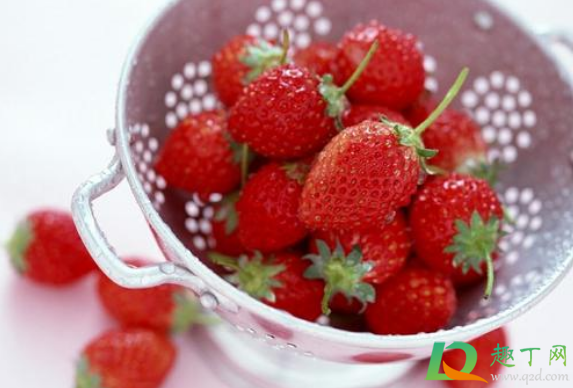大草莓是打了激素吗(草莓大是因为打激素了吗)