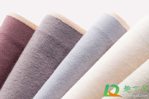 长了阴虱虫内裤的图片(内裤阴虱虫子图片)