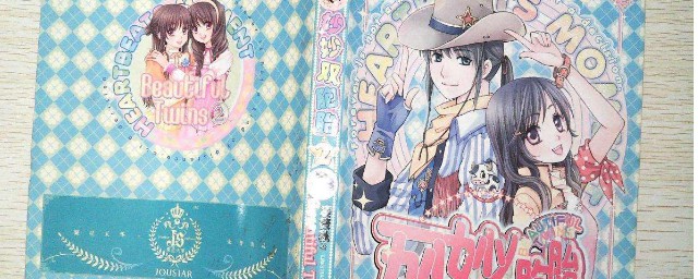 妙妙双胞胎讲的是什么(妙妙双胞胎笔趣阁)