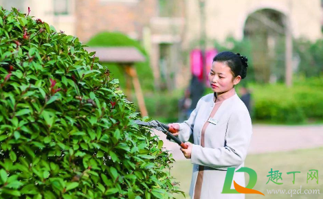 小区物业最怕什么举报(小区物业最怕什么电话投诉) 小区物业最怕什么举报(小区物业最怕什么电话投诉)