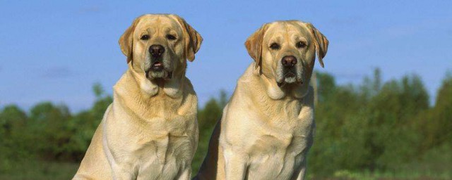 怎么改掉这个习惯