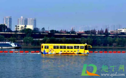 橘子洲水陆两栖车有儿童票吗(橘子洲水陆两栖公交车)