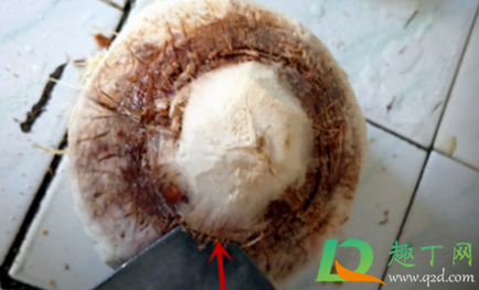 椰青怎样煲汤(椰青可以用来煲汤吗)