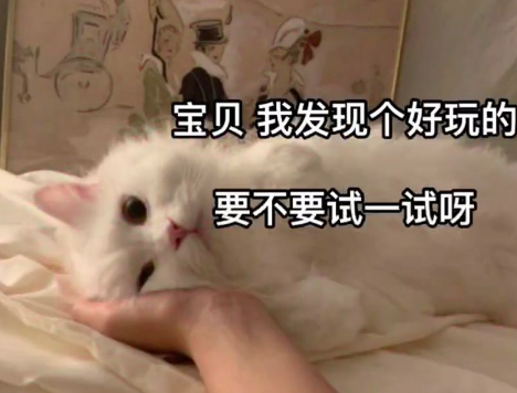 闭上嘴用喉咙说2什么梗(闭嘴说个2什么梗)