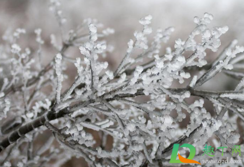 2021年真会有恐怖寒潮吗(2021年寒潮会持续多久)