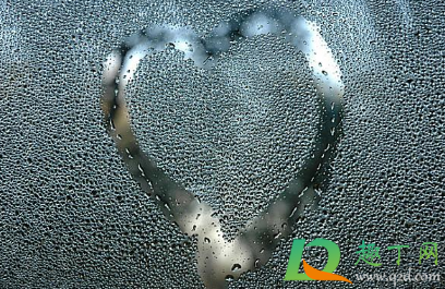 家里玻璃全是水蒸气怎么办(客厅玻璃有水蒸气怎么处理)