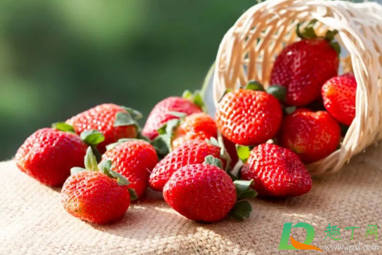 草莓洗了放的久还是不洗放的久(草莓洗了放一天会坏吗)