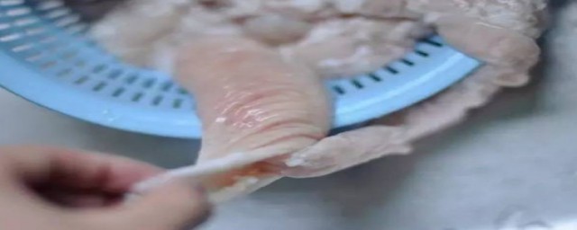 如何用小苏打洗猪大肠(猪小肠可以用小苏打洗吗)