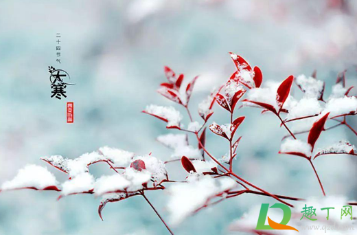 为什么2021年没有大寒(2021年有没有大寒)