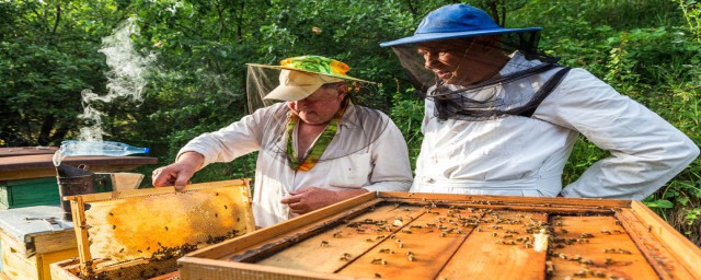 需要什么材料(身份证到期需要什么材料办理)