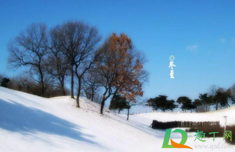 2021几点冬至(2021冬至是啥时候)