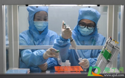 2021元旦出京需要核酸检测吗(2021出京是否需要核酸检测结果) 2021元旦出京需要核酸检测吗(2021出京是否需要核酸检测结果)