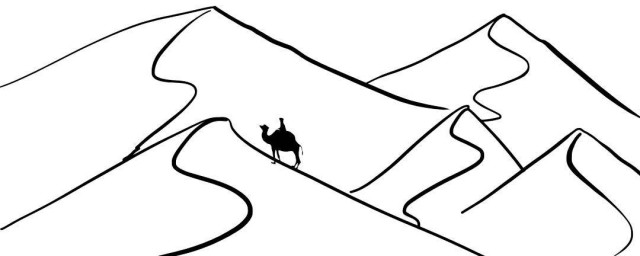 该纪录片的剧情简介(介绍一部纪录片)