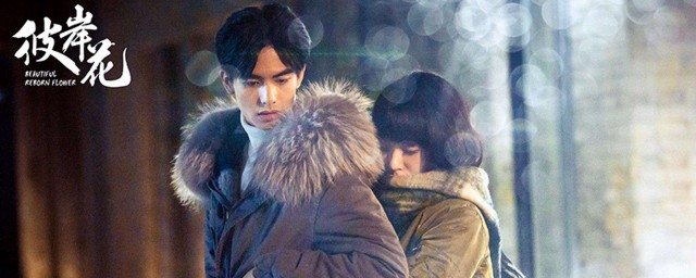 彼岸花剧情简介(彼岸花剧情分集介绍)