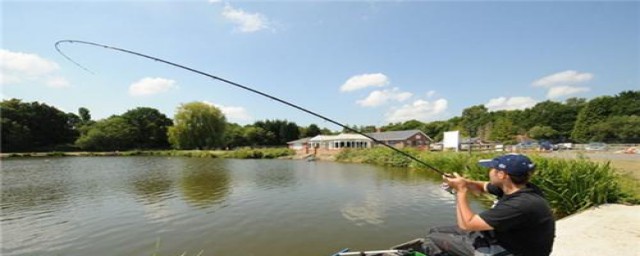 如何使钓鱼料粘合一起(怎样搅拌鱼料才黏钩)