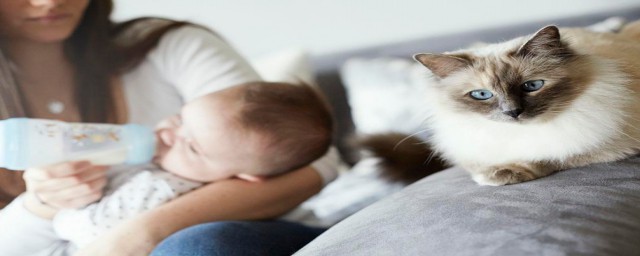 特别适合家里有孩子的家庭养的猫(有孩子的家庭适合养猫吗?)