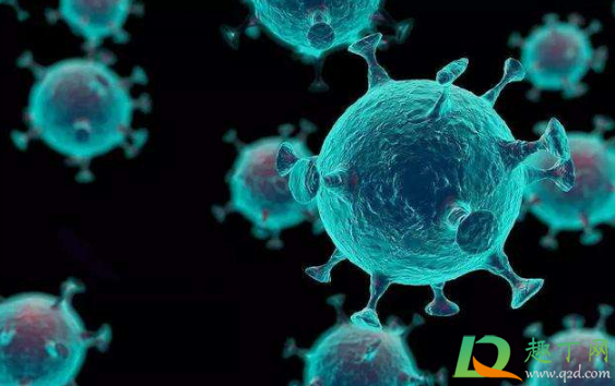 病毒变异元旦还能出行吗(病毒变异元旦还能出行吗?N)