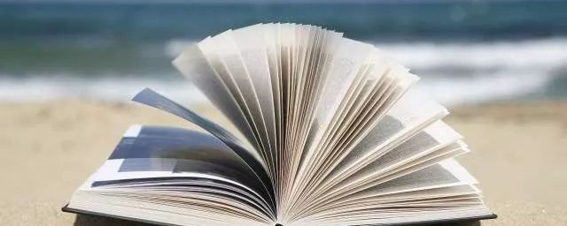 不负韶华作者是谁(不负韶华这本书谁写的)