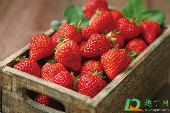 草莓吃多了尿会变红吗(吃草莓屎会变红吗)