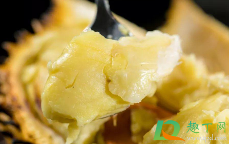 榴莲有酒味是不是坏了含酒精(榴莲有点酒味是不是坏了) 榴莲有酒味是不是坏了含酒精(榴莲有点酒味是不是坏了)